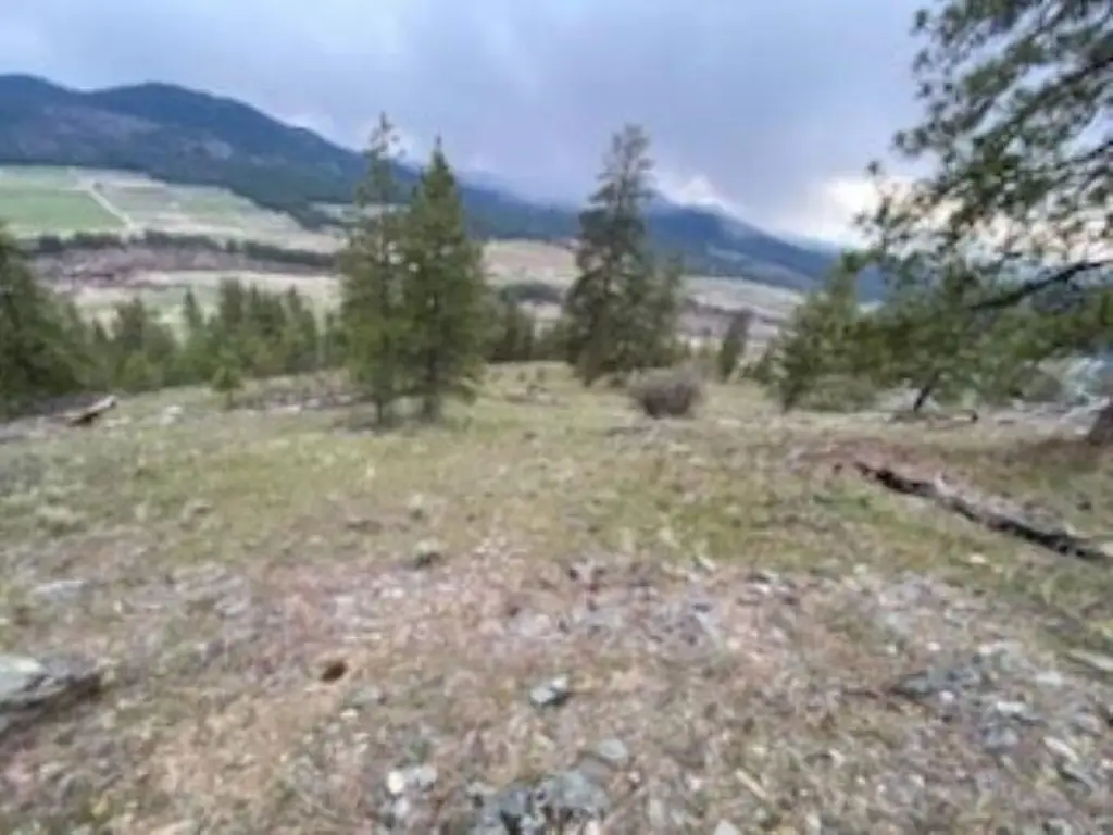Picture 26