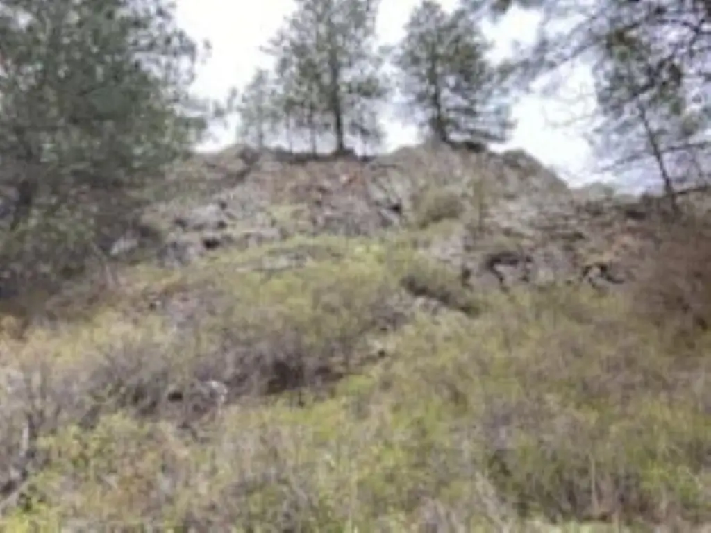 Picture 29