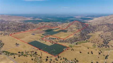 Income-Producing Ranch in Woodlake, CA