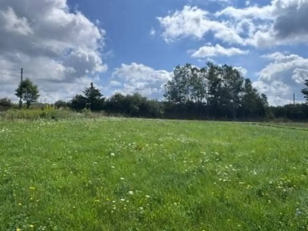 Picture 6