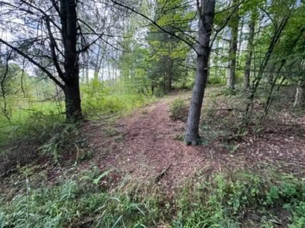 Picture 17