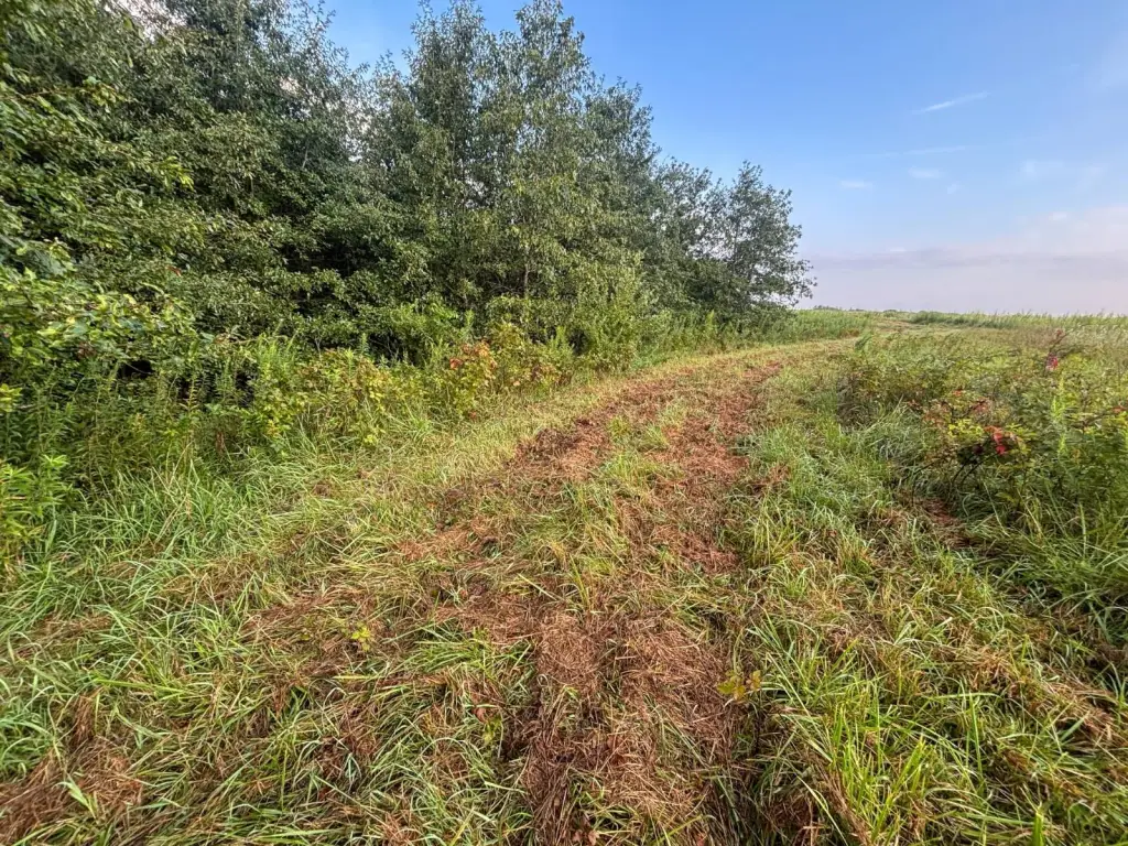 Picture 41