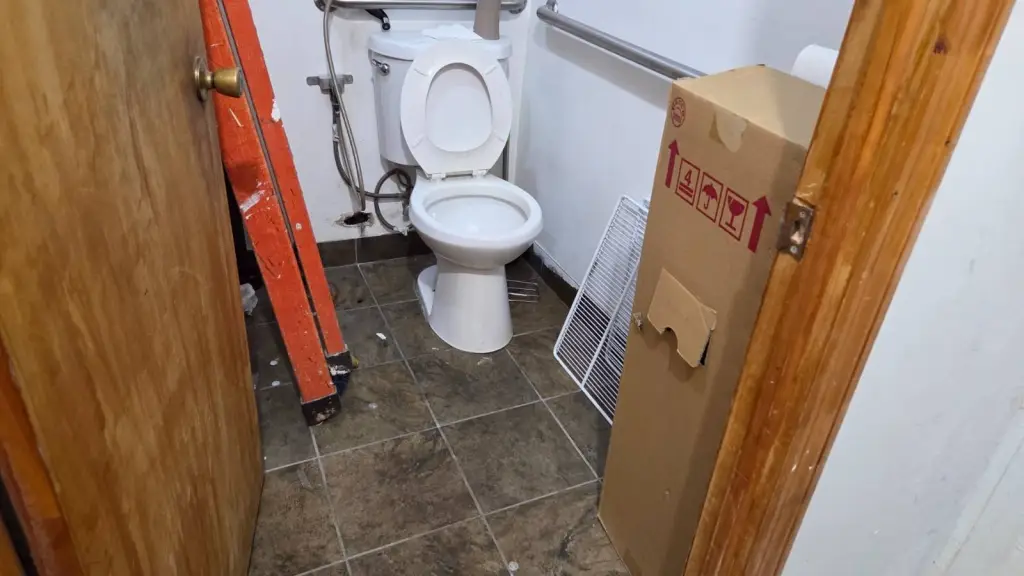Picture 7