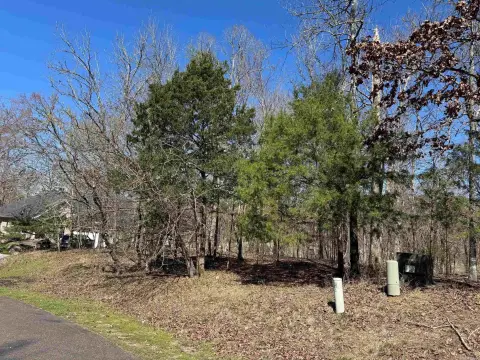 Diamante Golf Course Lot