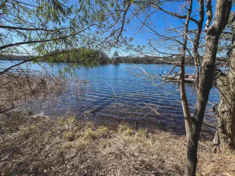Lakewood Vacant Land Near Lake