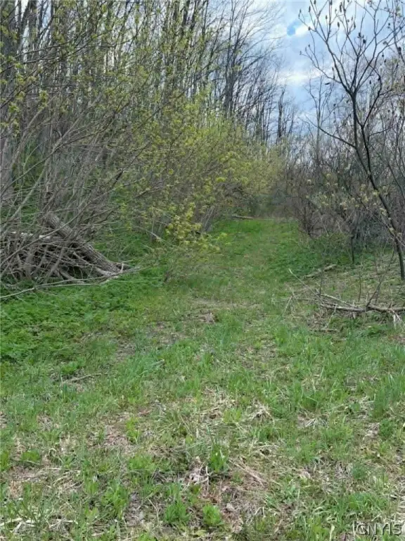 Picture 3