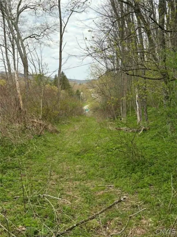 Picture 5