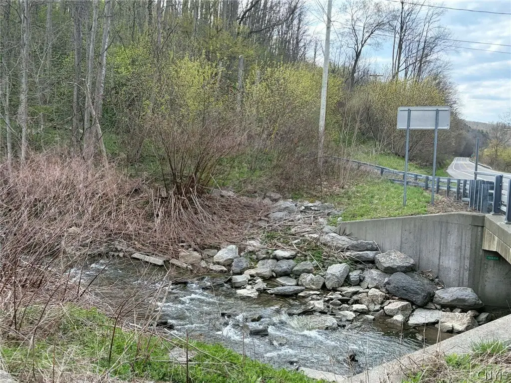 Picture 13