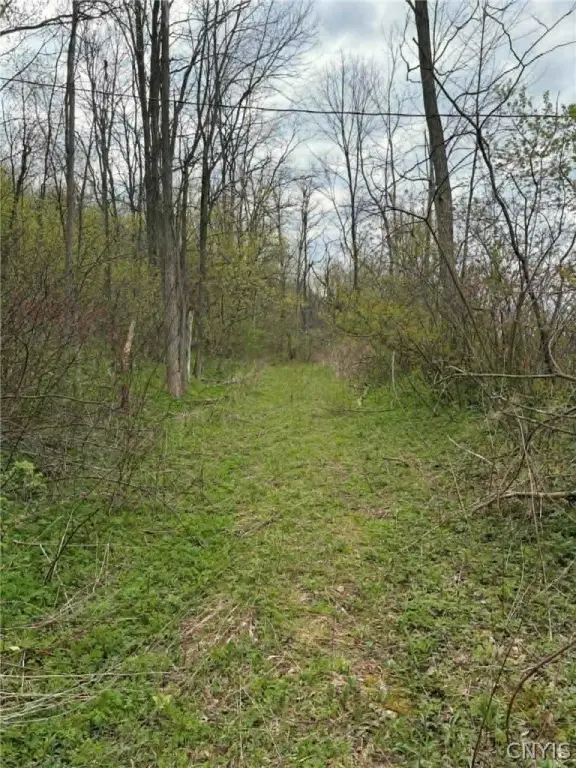 Picture 4