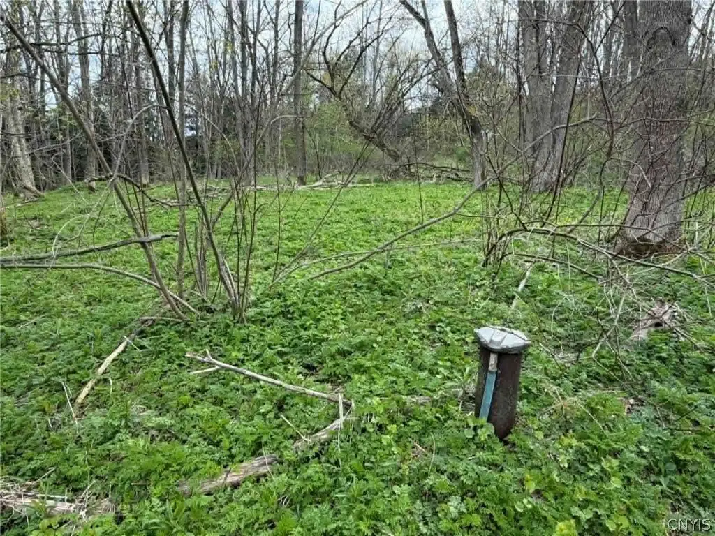 Picture 8