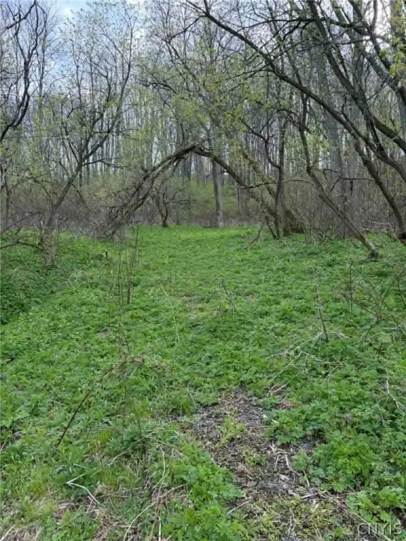Picture 6