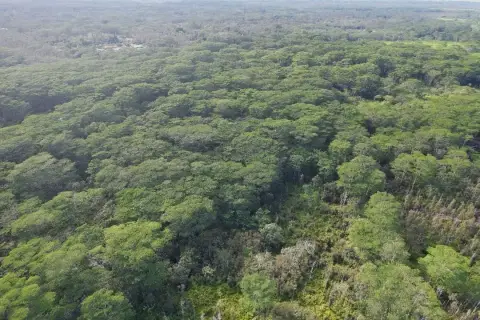 Agricultural Land with Equestrian Potential