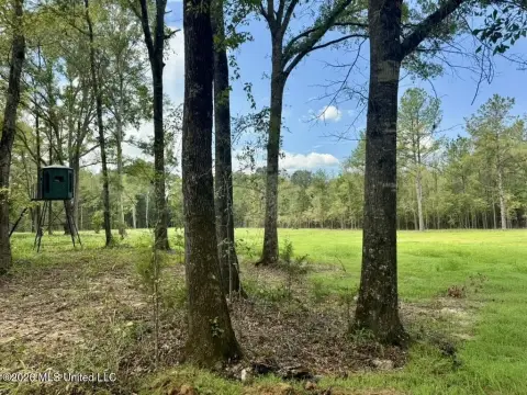Surveyed Hunting Land With Trails