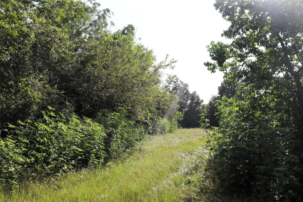 Picture 13