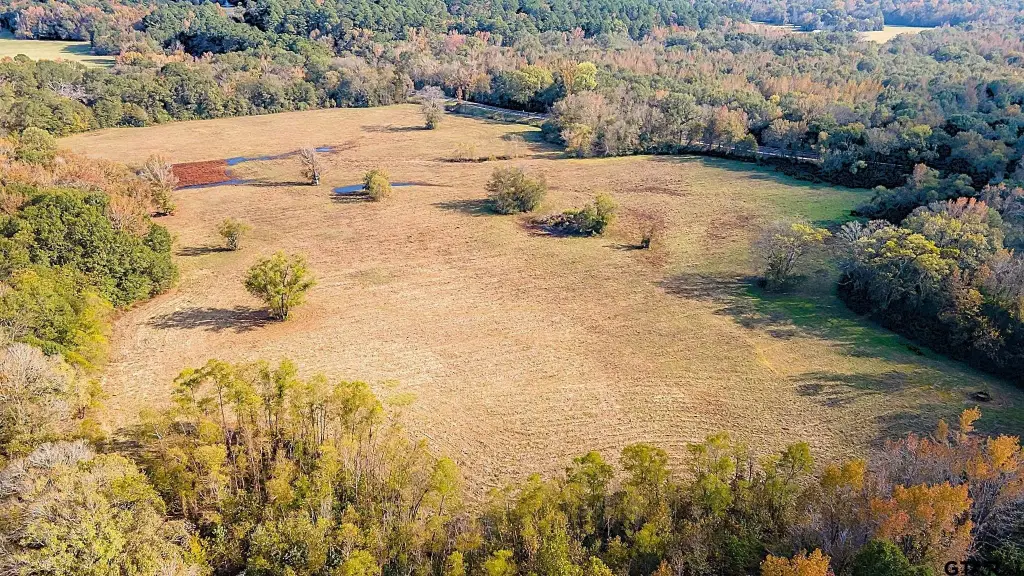 Picture 20