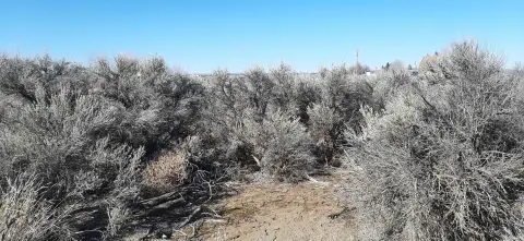 Residential Lot with Mountain Views