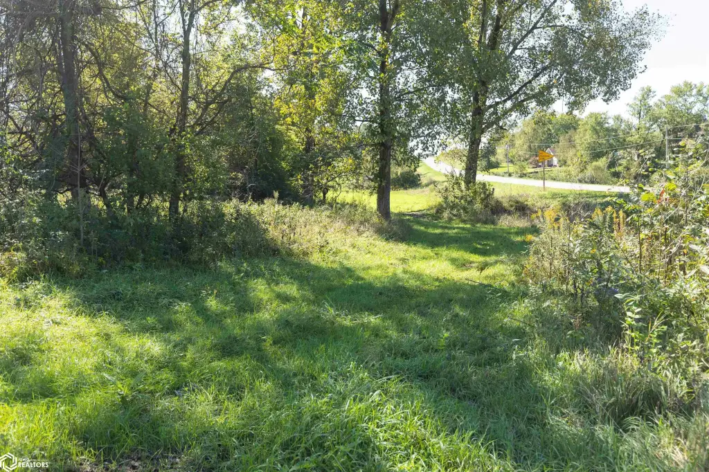 Picture 25