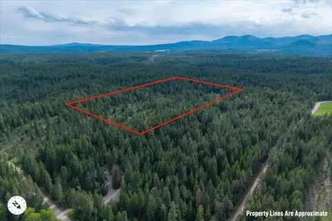 Springdale 20-Acre Hunting Land