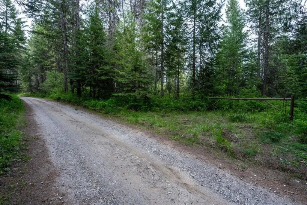 Picture 31