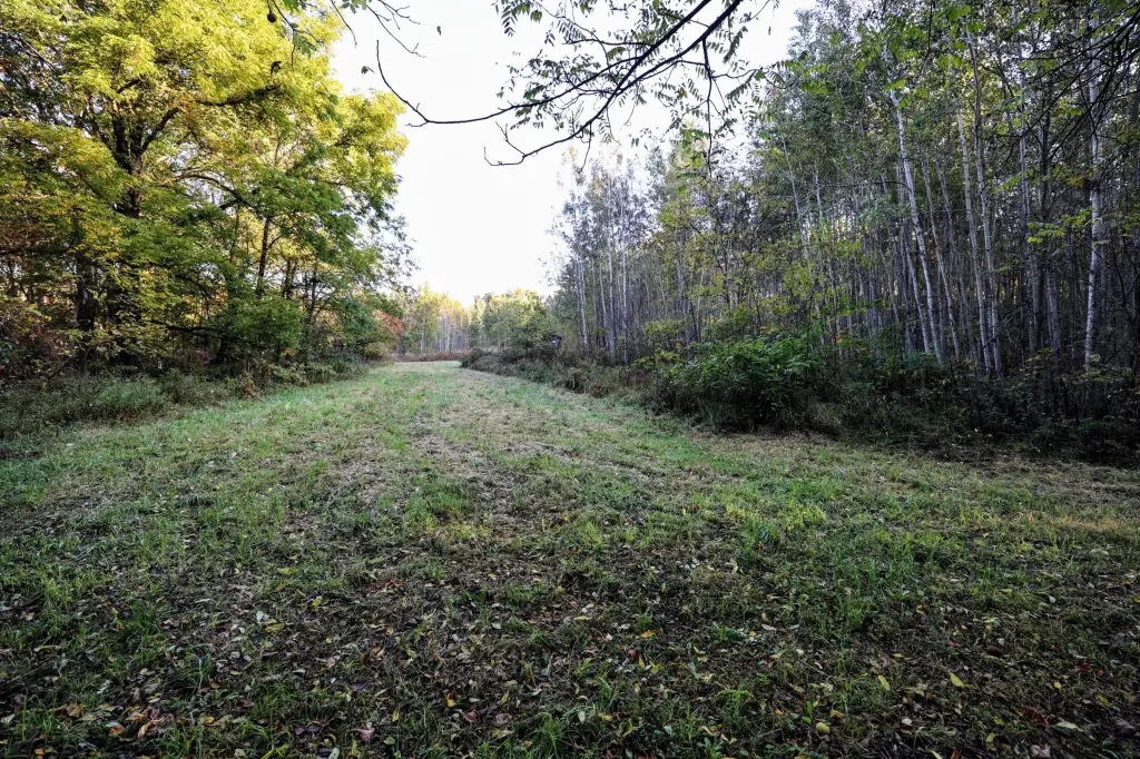Picture 24