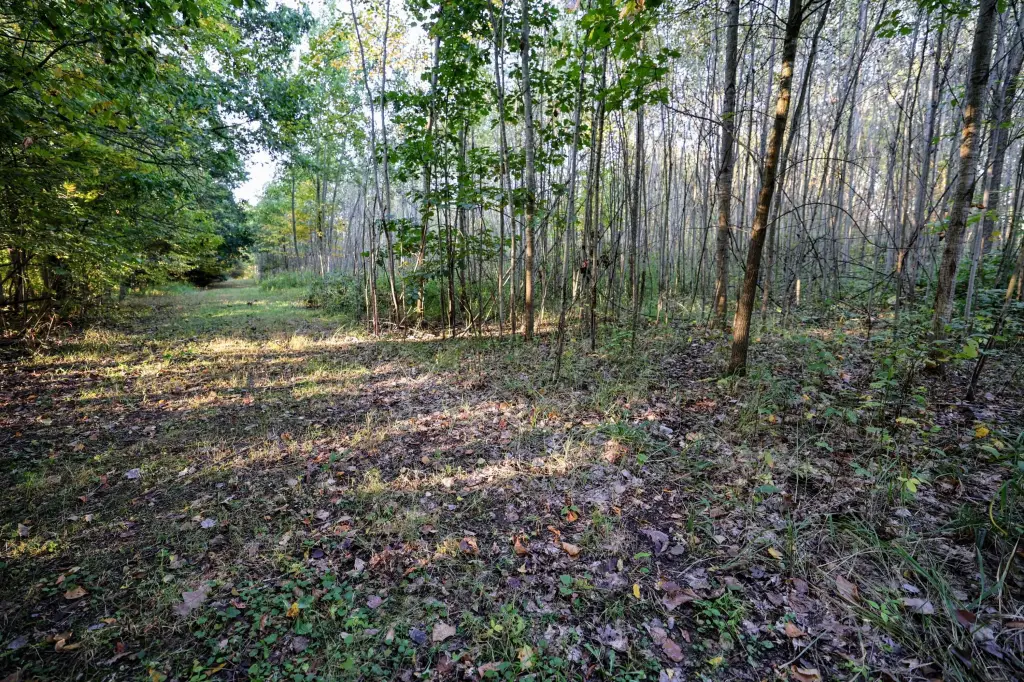 Picture 17