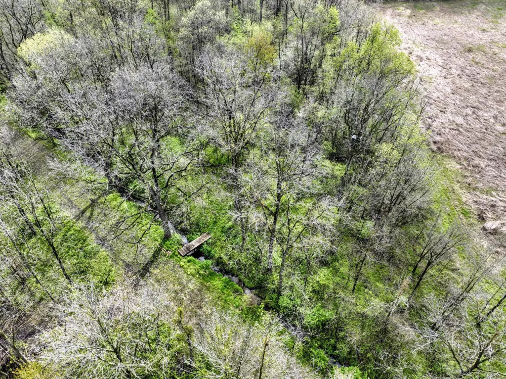 Picture 15
