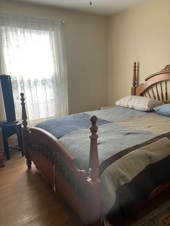 Picture 15