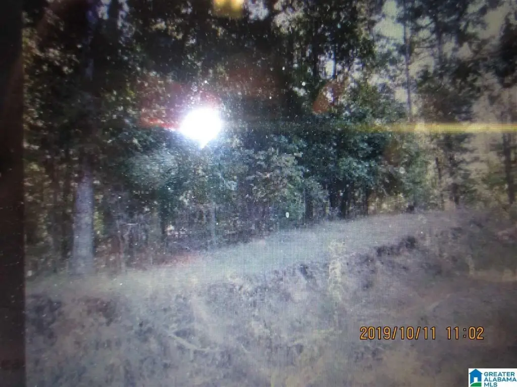 Picture 7