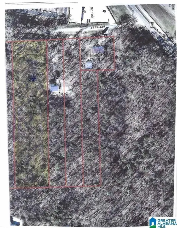 Picture 5