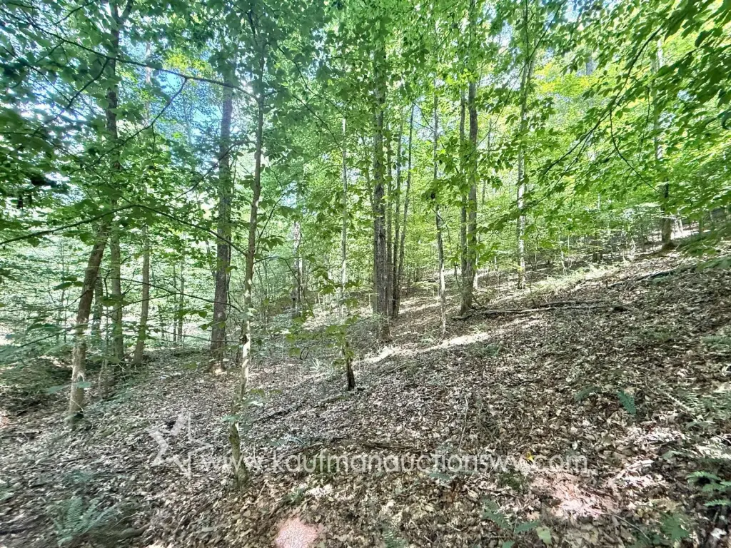 Picture 29