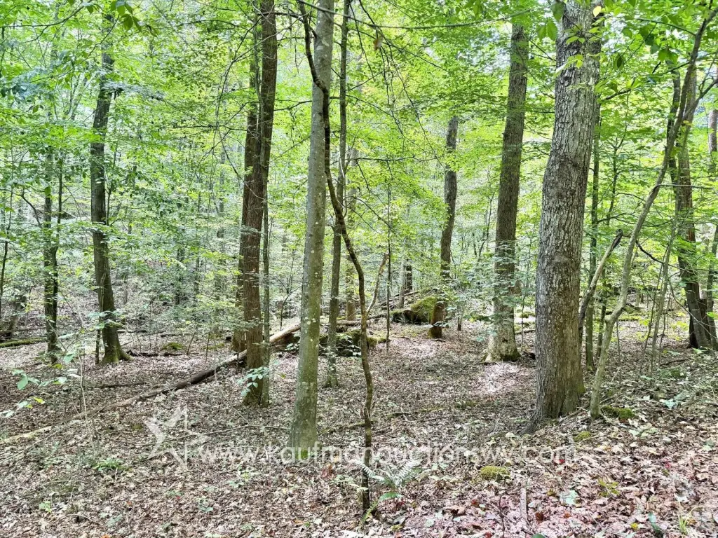 Picture 21