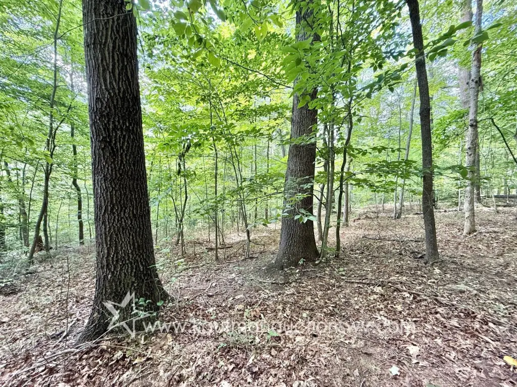 Picture 47