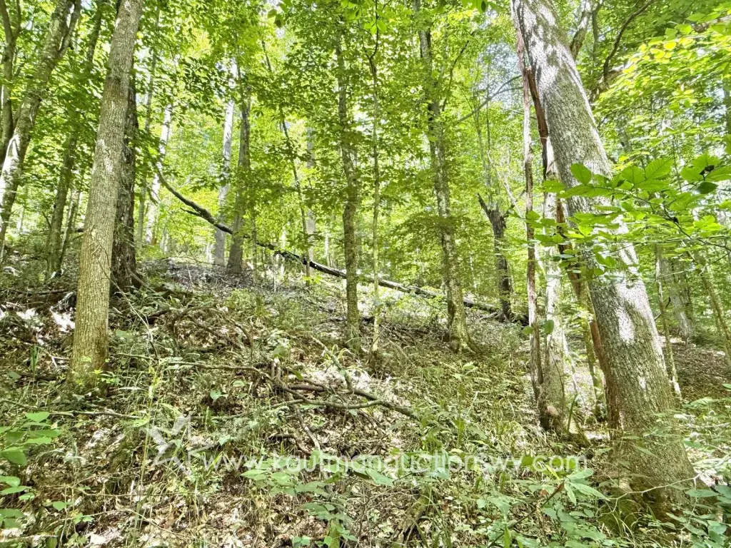 Picture 6