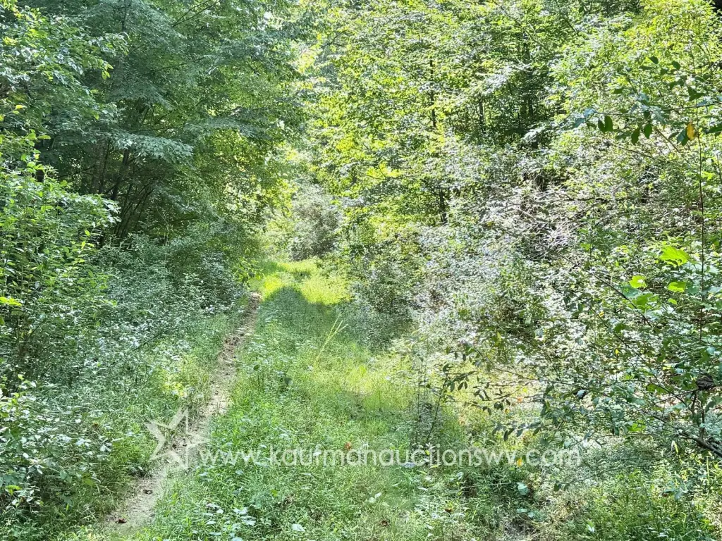 Picture 12