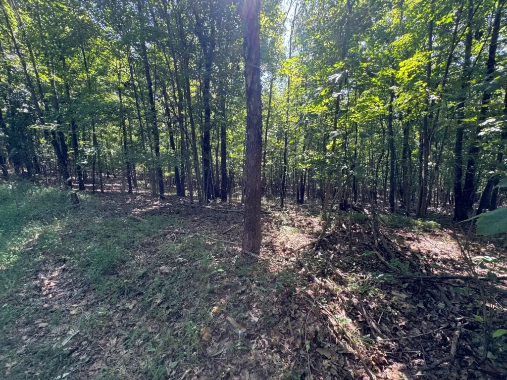 Picture 28