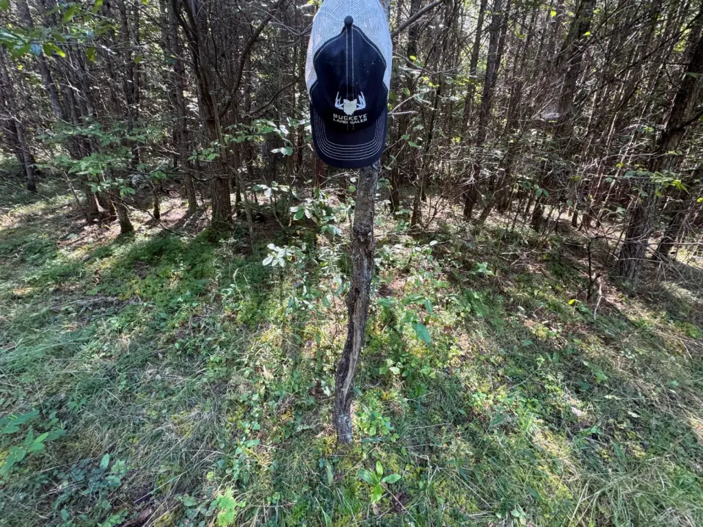 Picture 18