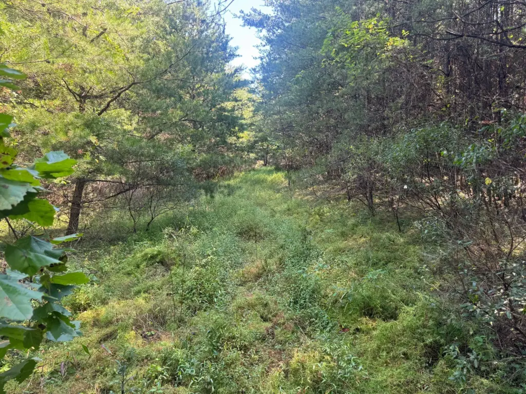 Picture 14