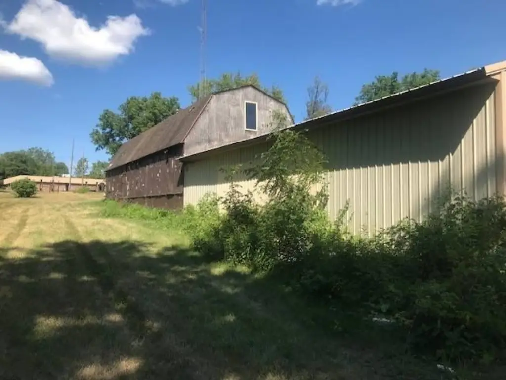 Picture 20