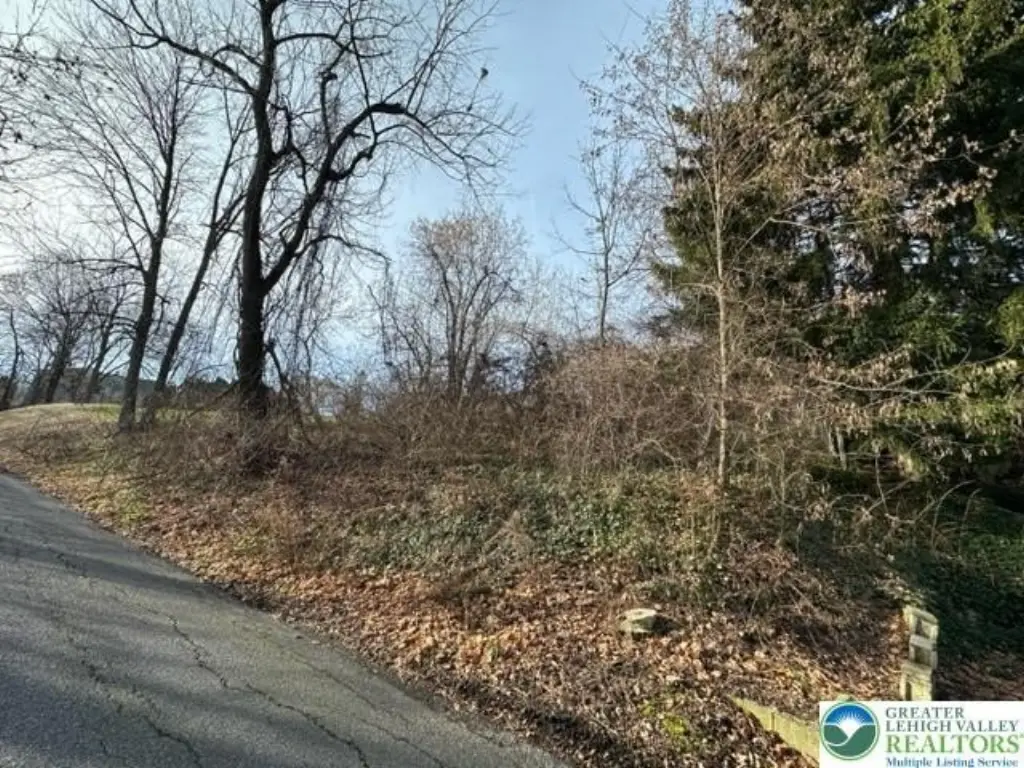 Picture 11