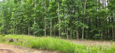 Wooded Homesite in Lincolnton, NC