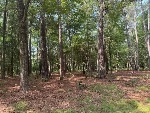 Daufuskie Island Lot in Melrose