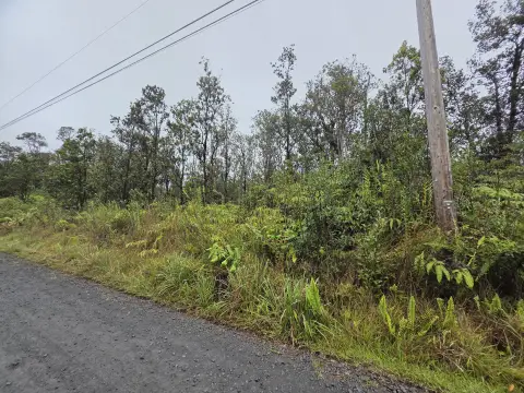 Vacant Land in Volcano, HI