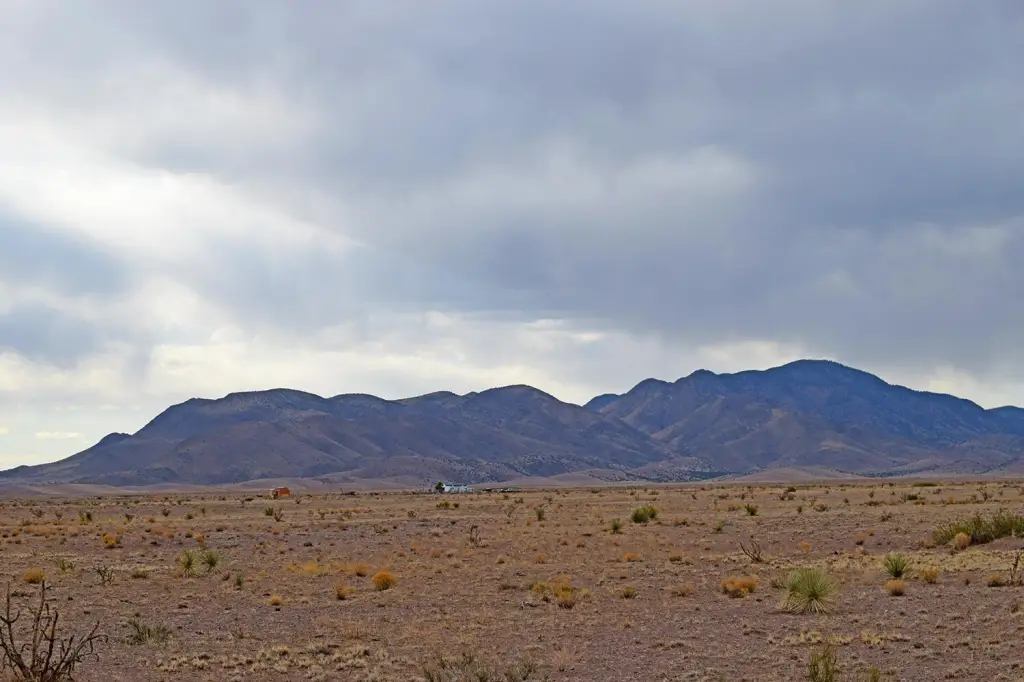 Picture 24