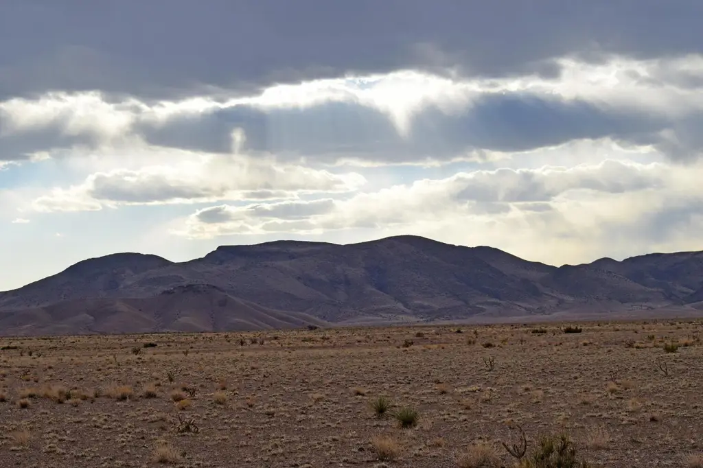 Picture 22