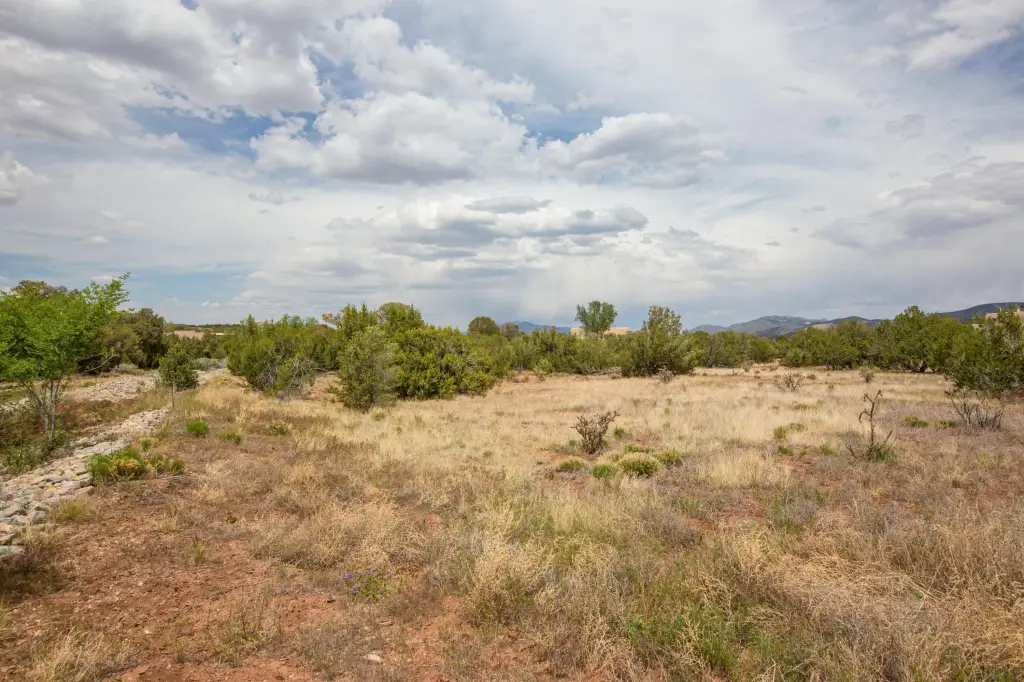 Picture 19
