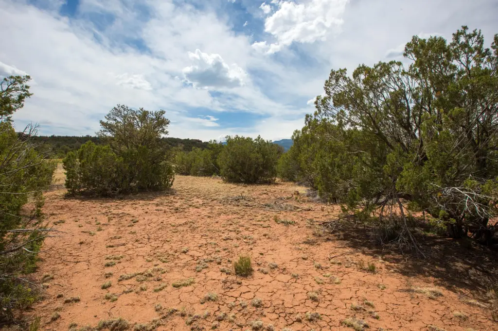 Picture 18
