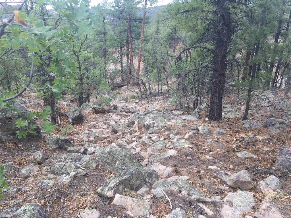 Picture 38