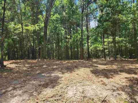 Hughes Springs Raw Land Acreage