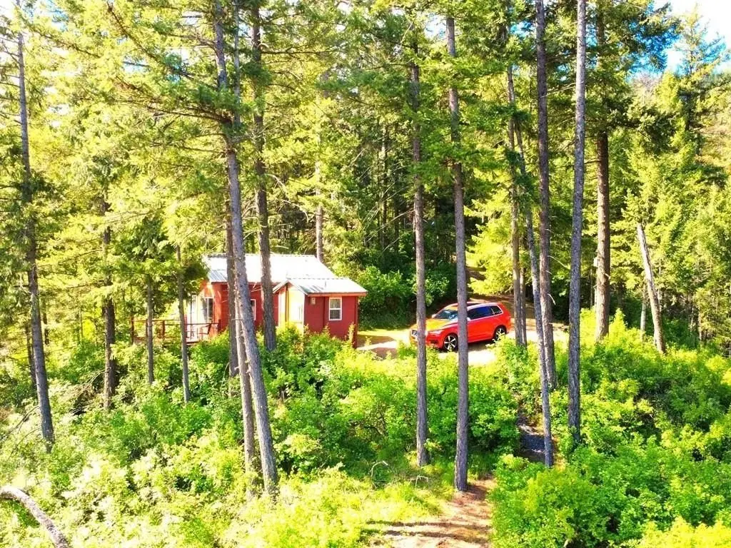Picture 3