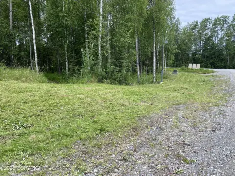 Treed Lot in Wasilla, AK